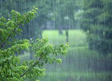 باد، باران و نوسانات دمایی در سطح کشور
