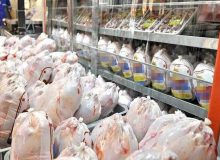 افزایش ۲۷درصدی خرید مرغ مازاد مرغداران/ کریدورهای صادراتی فعال شود